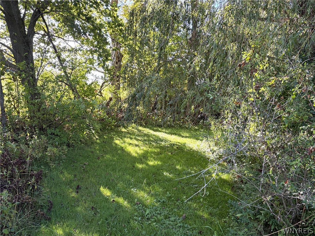 1766 French Road Varysburg, NY 14167 - Photo 4 of 5 Gallery Image 4