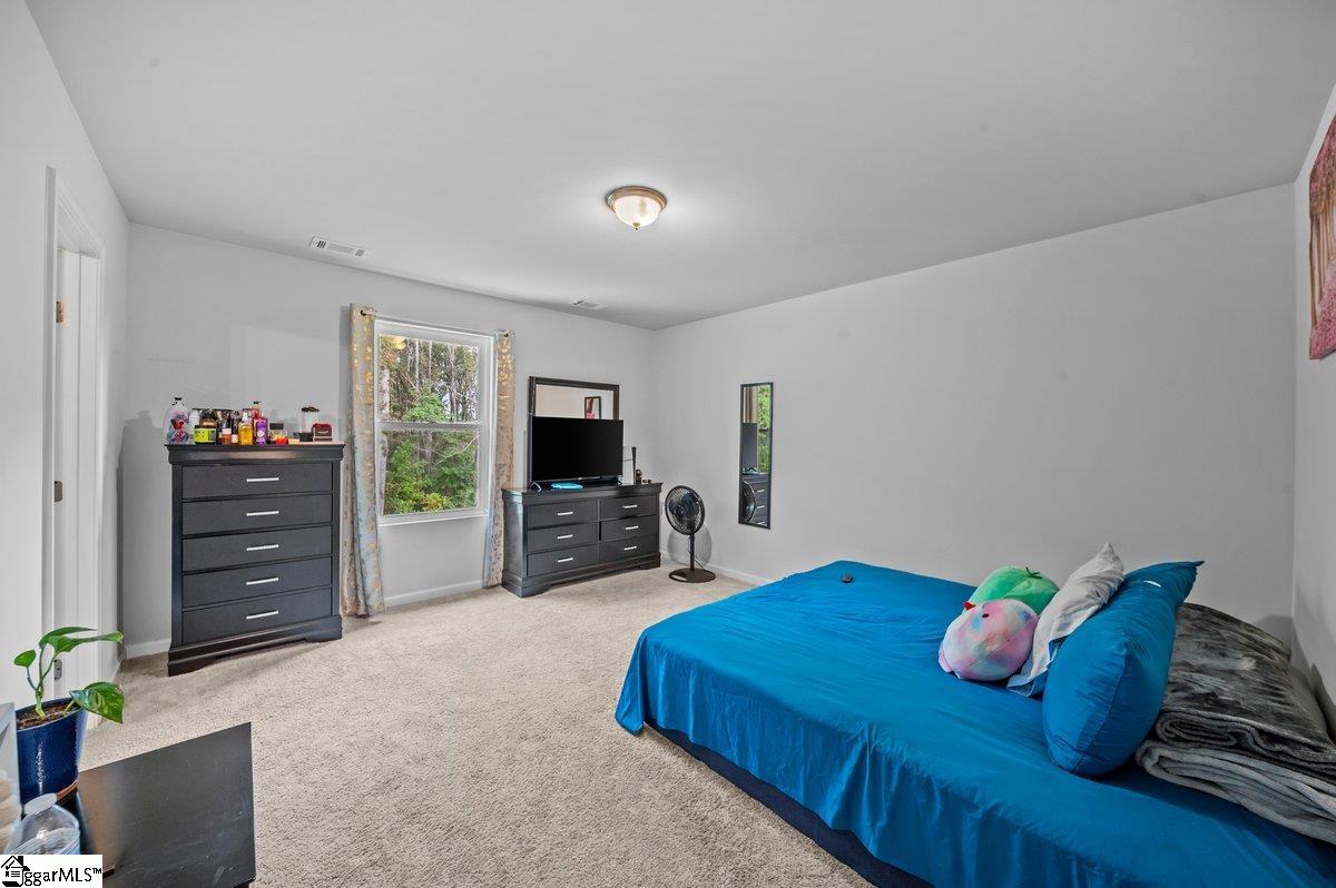 735 Wayfinder Run Inman, SC 29349 - Photo 20 of 24