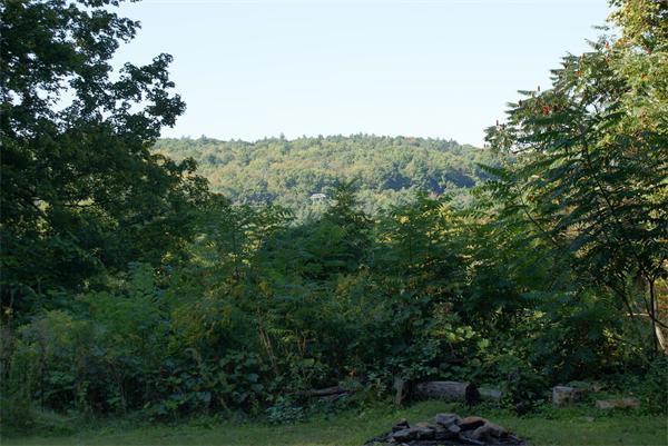 11 Stone Cut Off Road Wendell, MA 01379 - Photo 18 of 21 Gallery Image 18