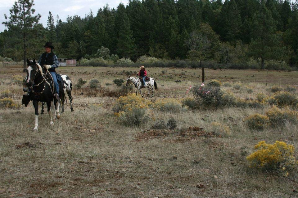 5389 West Side Road Cave Junction, OR 97523 - Photo 11 of 11 Additional Photo