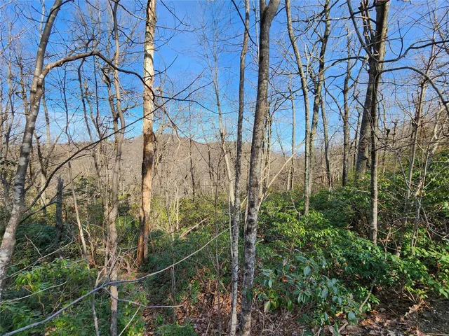 $17,500 | Lot 22 Sunset Ridge Drive, Unit 22, Columbus, NC 28722
