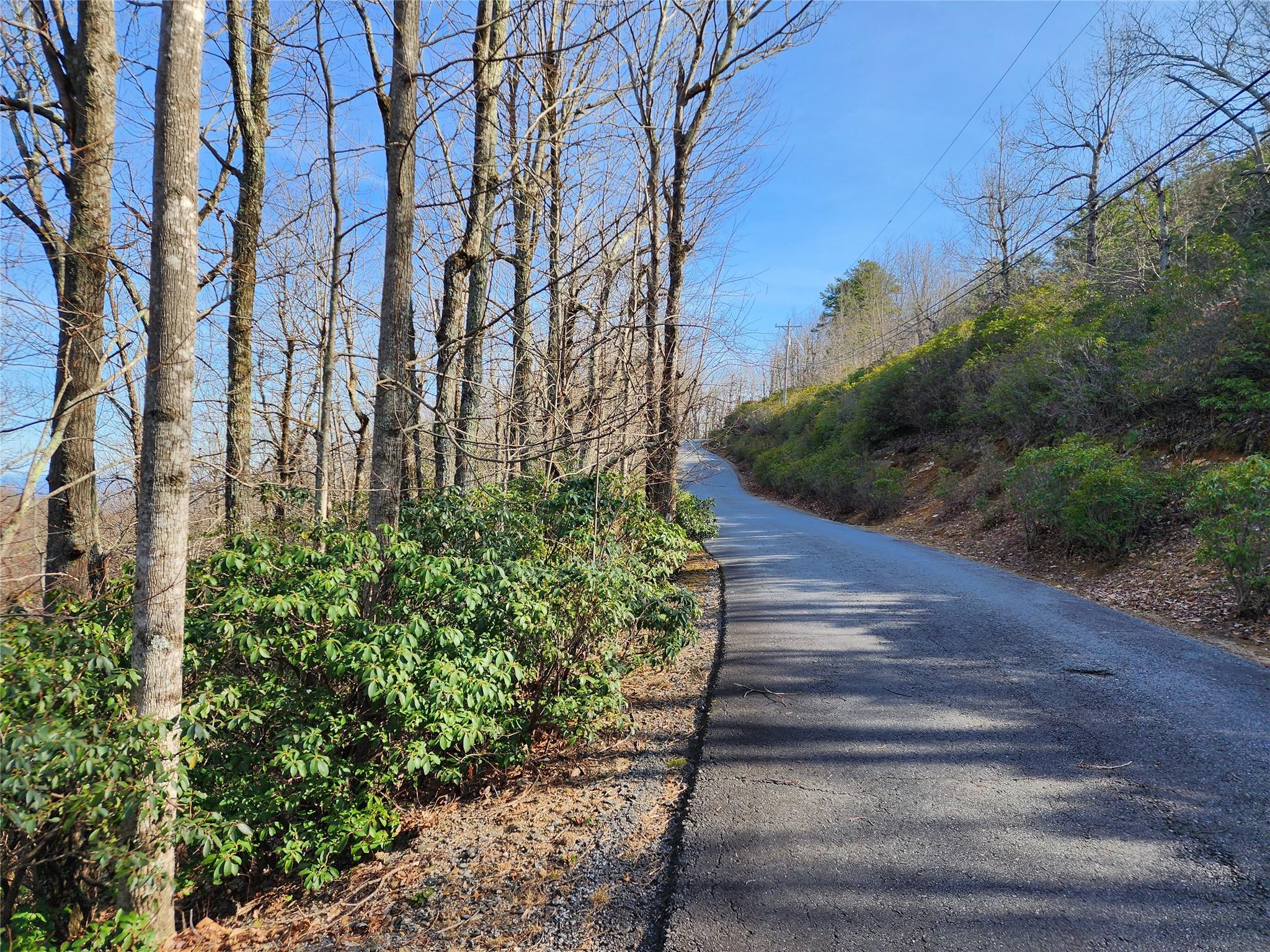 Lot 22 Sunset Ridge Drive, Unit 22 Columbus, NC 28722 - Photo 4 of 15
