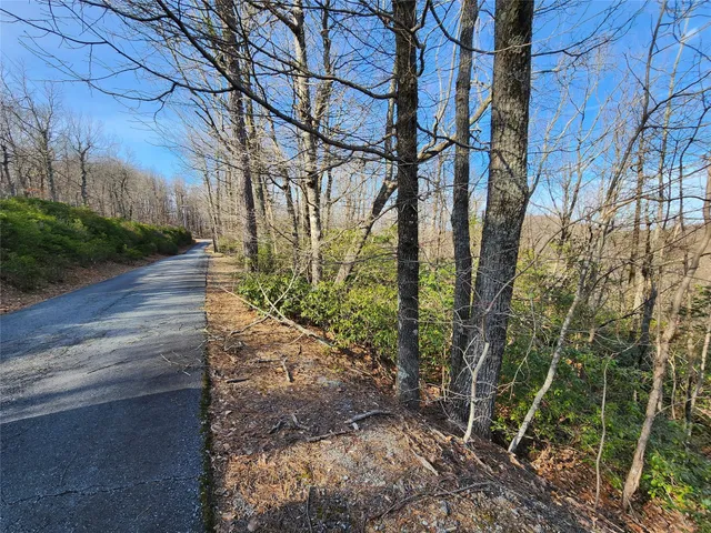 $17,500 | Lot 22 Sunset Ridge Drive, Unit 22, Columbus, NC 28722