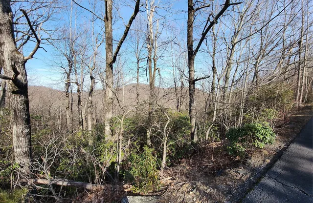 $17,500 | Lot 22 Sunset Ridge Drive, Unit 22, Columbus, NC 28722