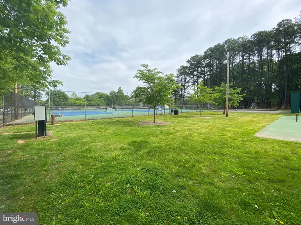 a view of a park with large trees