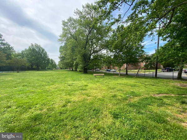 a view of a field with a tree in the background