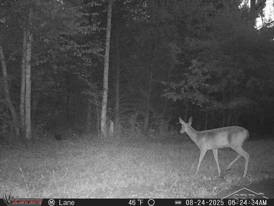 247 5 Mile Road Midland, MI 48640 - Photo 31 of 34 Gallery Image 31