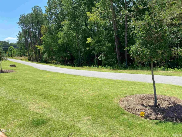 a view of a field with a tree