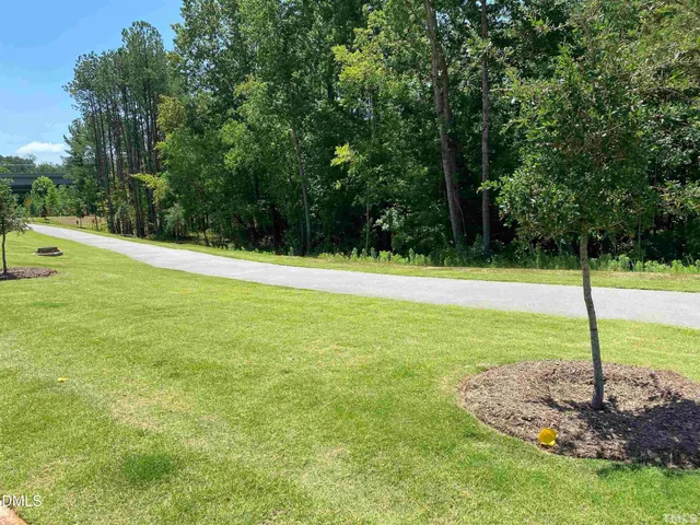 a view of a field with a tree