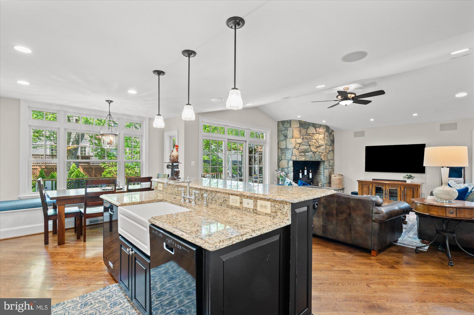 6041 25th Road North Arlington, VA 22207 - Photo 15 of 67 gourmet kitchen