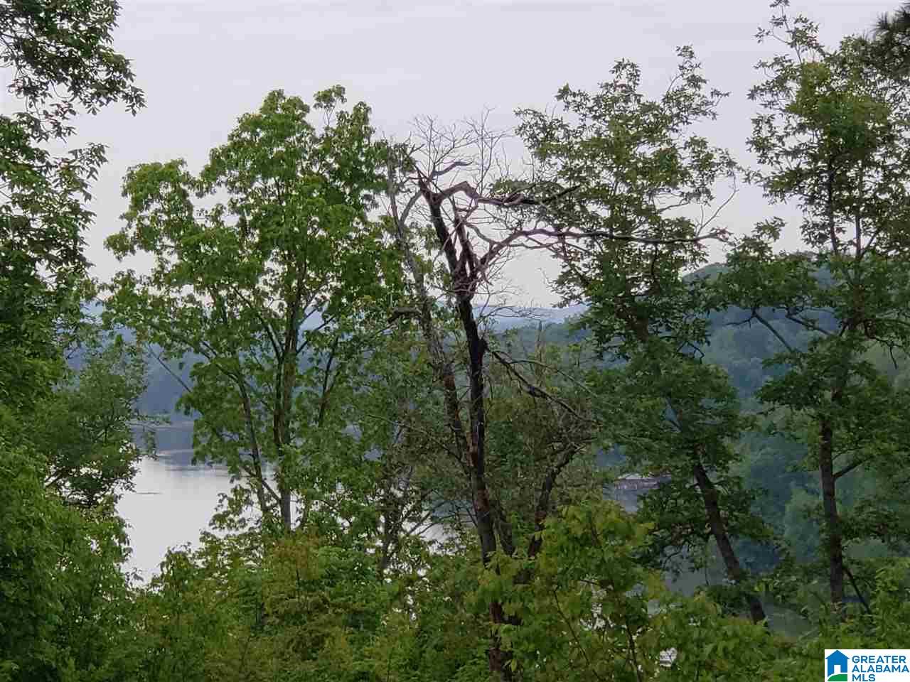 205 Overlook Ridge Lincoln, AL 35096 - Photo 13 of 17