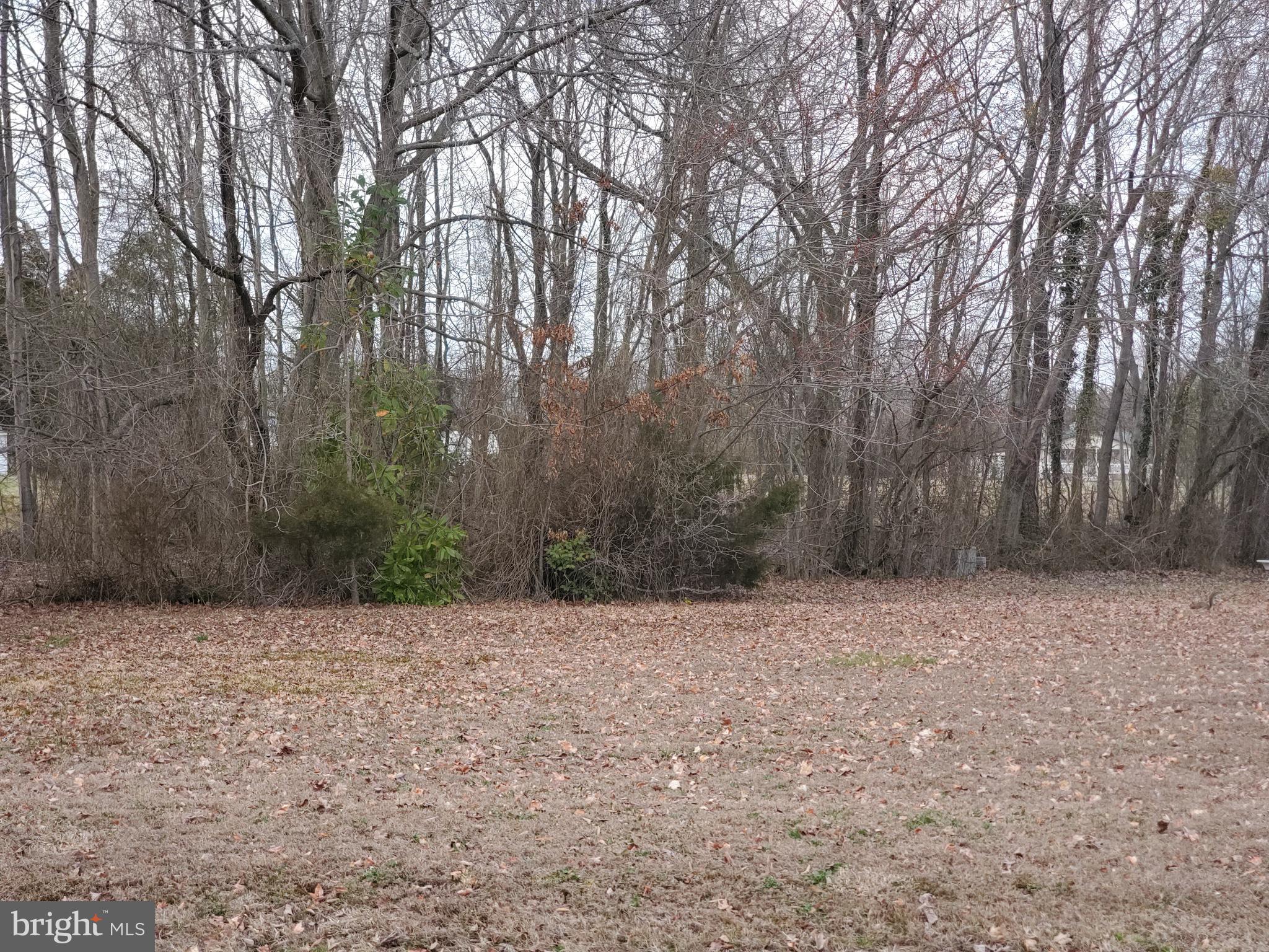 Center Chaptico, MD 20621 - Photo 5 of 8