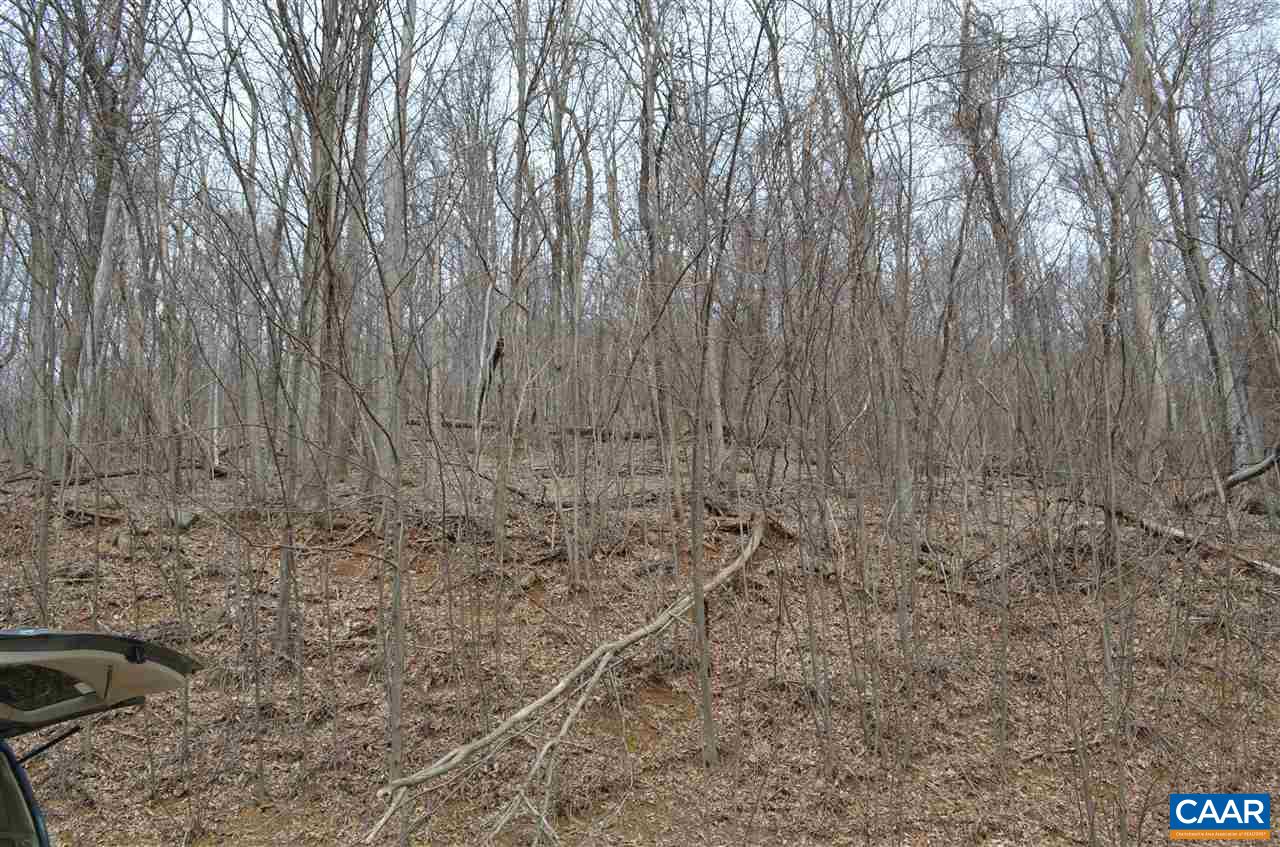 4217 Cub Creek Road Roseland, VA 22967 - Photo 41 of 48 Gallery Image 41