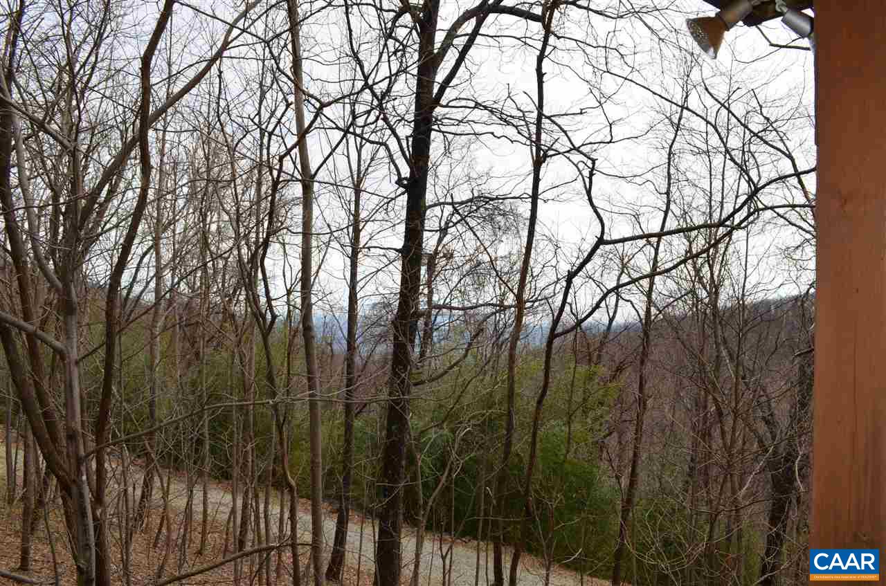 4217 Cub Creek Road Roseland, VA 22967 - Photo 42 of 48 Gallery Image 42
