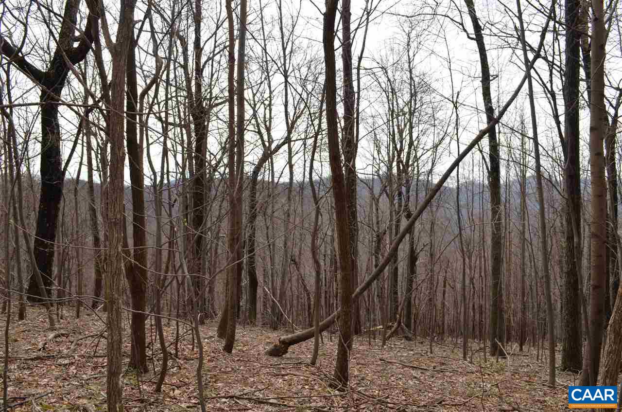 4217 Cub Creek Road Roseland, VA 22967 - Photo 44 of 48 Gallery Image 44