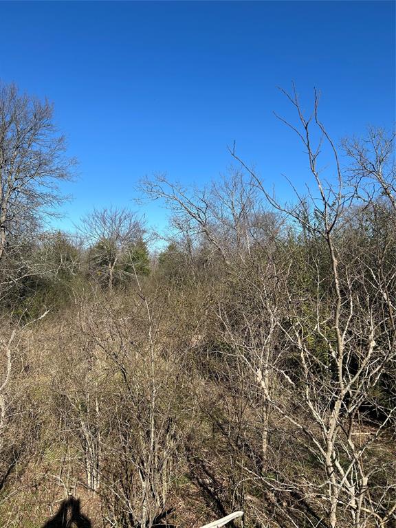 Tbd Eastman Street Ladonia, TX 75449 - Photo 4 of 4