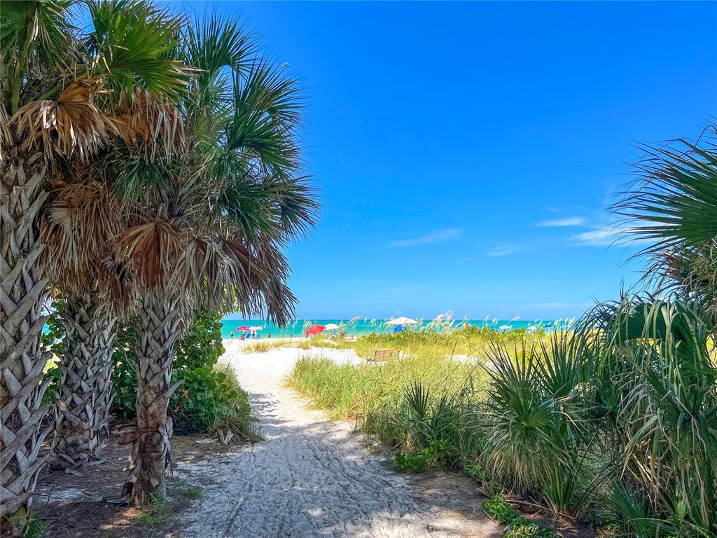 416 Alamanda Road Anna Maria, FL 34216 - Photo 97 of 100