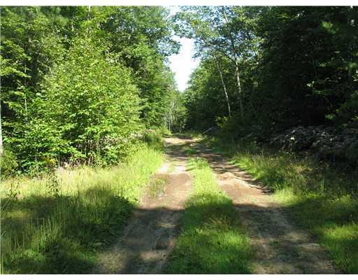 Lot 43 Knight Road Waterboro, ME 04087 - Photo 3 of 3 Yard/Garden. Road is seasonal. ...