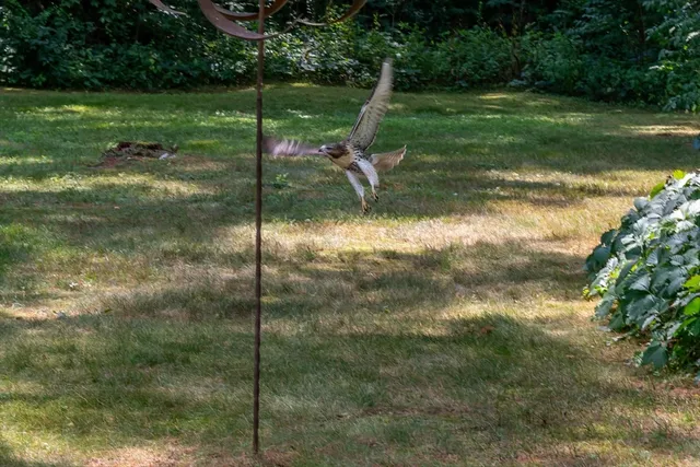 $1,017,500 | 6 Glenwood Street, Natick, MA 01760