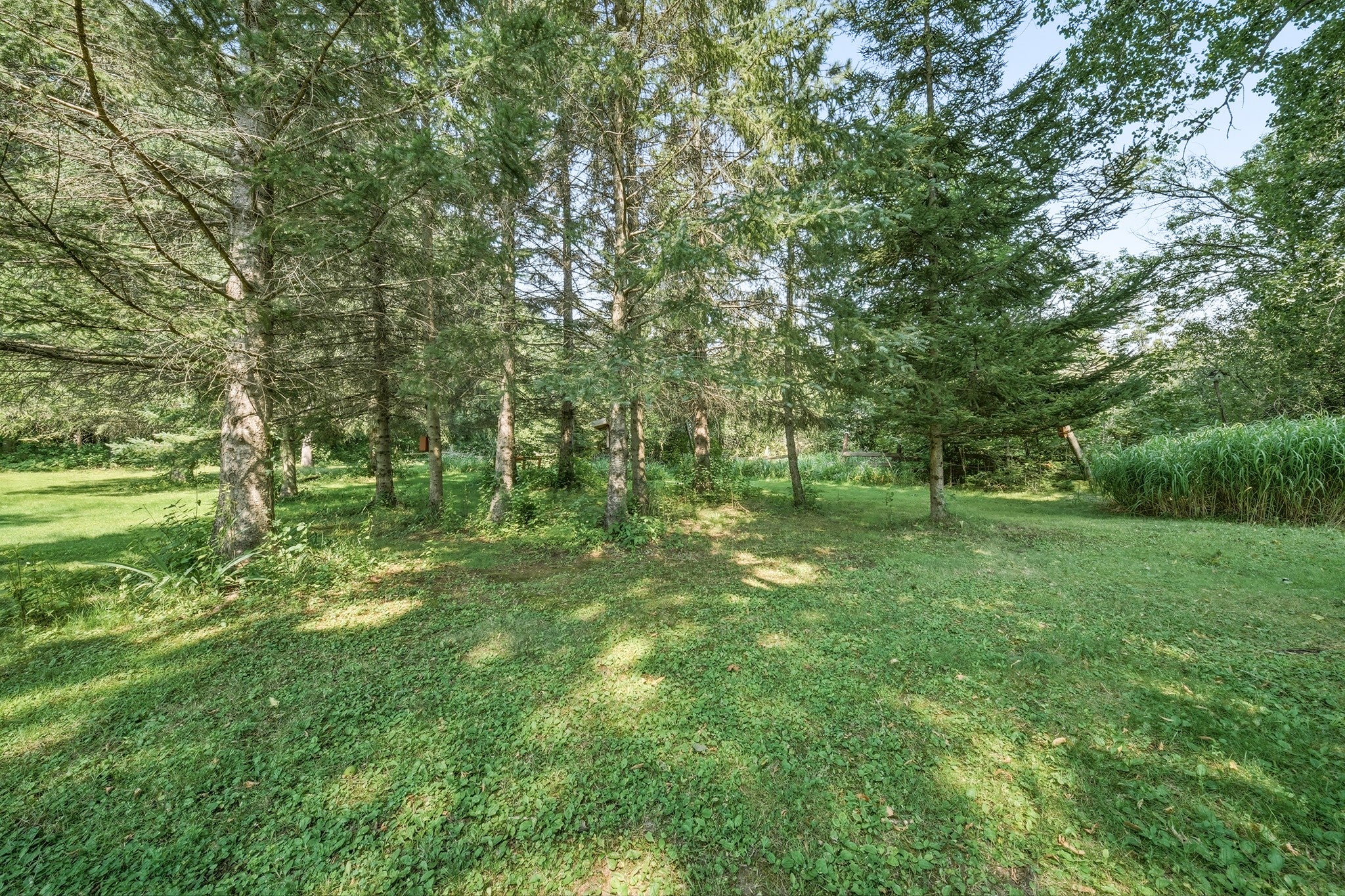 1300 Ripley Street Cornell, WI 54732 - Photo 39 of 54 Gallery Image 39