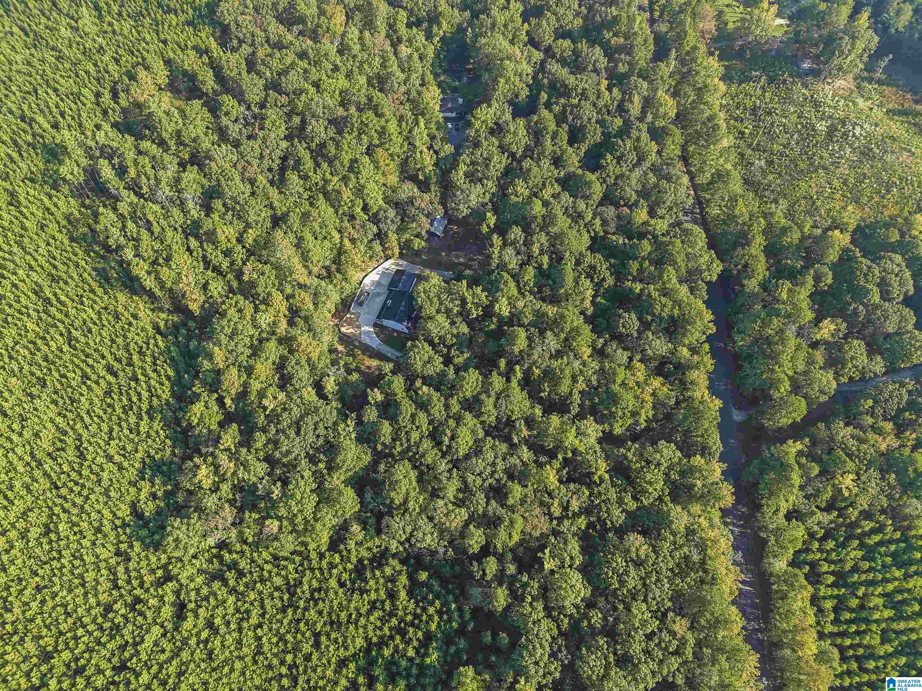5557 Dry Creek Road Pell City, AL 35128 - Photo 48 of 52