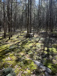 $475,000 | 0 Rock Hill Road, Readyville, TN 37149