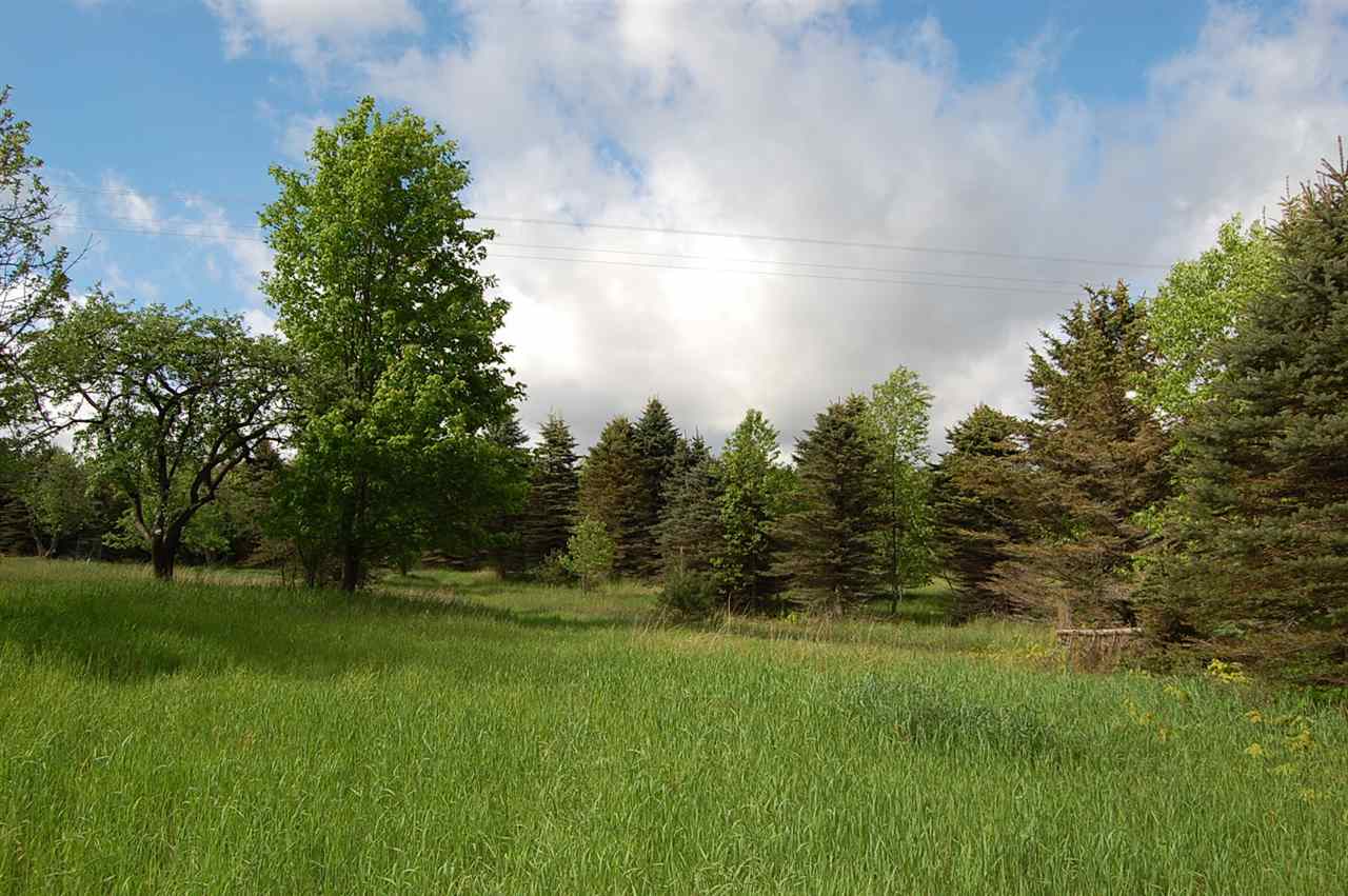 624 Sharon Road Southwest Fife Lake, MI 49633 - Photo 7 of 45 1808192-6.JPG