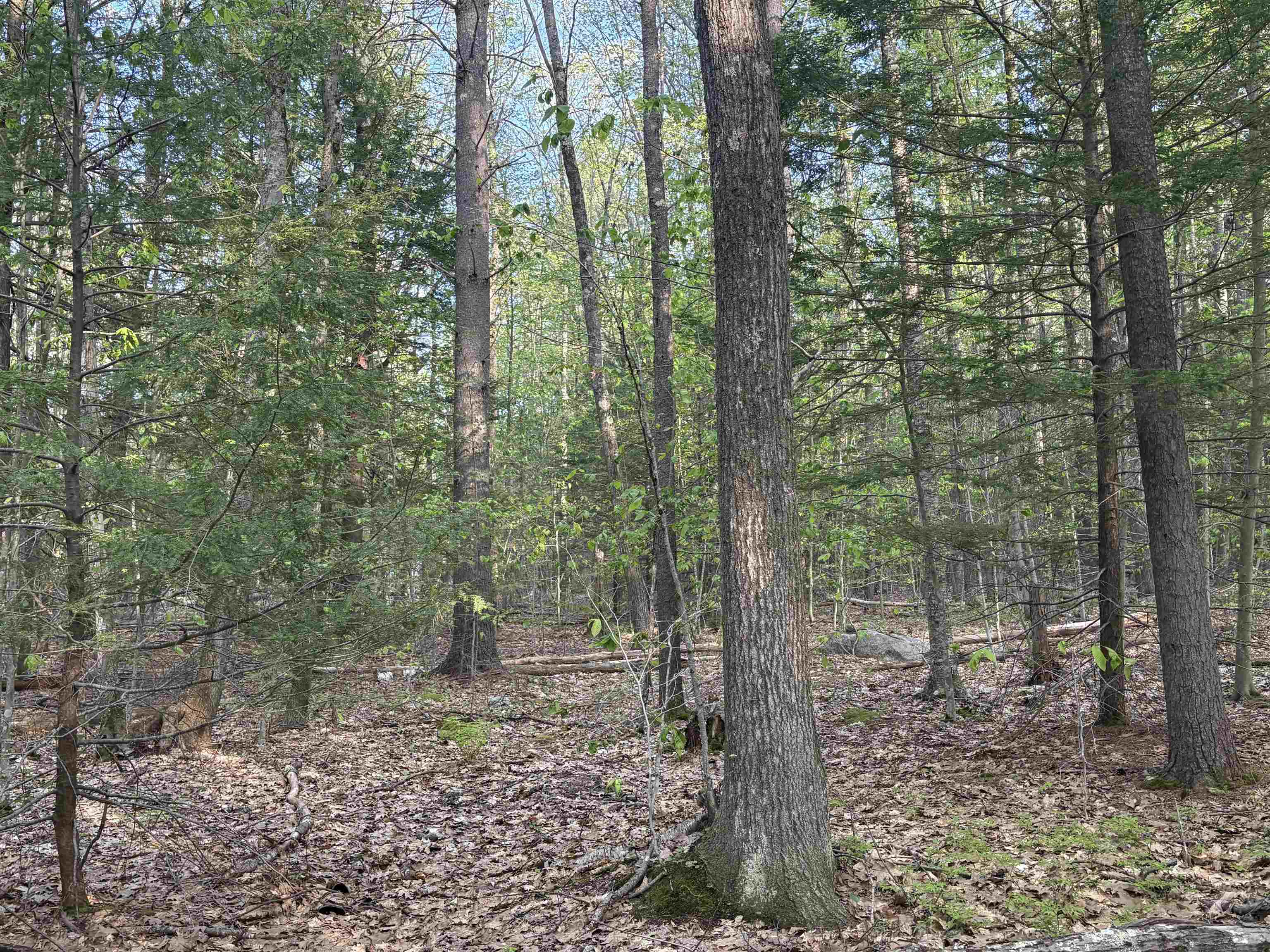 Lot 80 Currier Road Candia, NH 03034 - Photo 11 of 22 Gallery Image 11