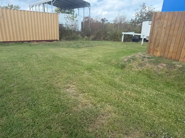 a view of a backyard