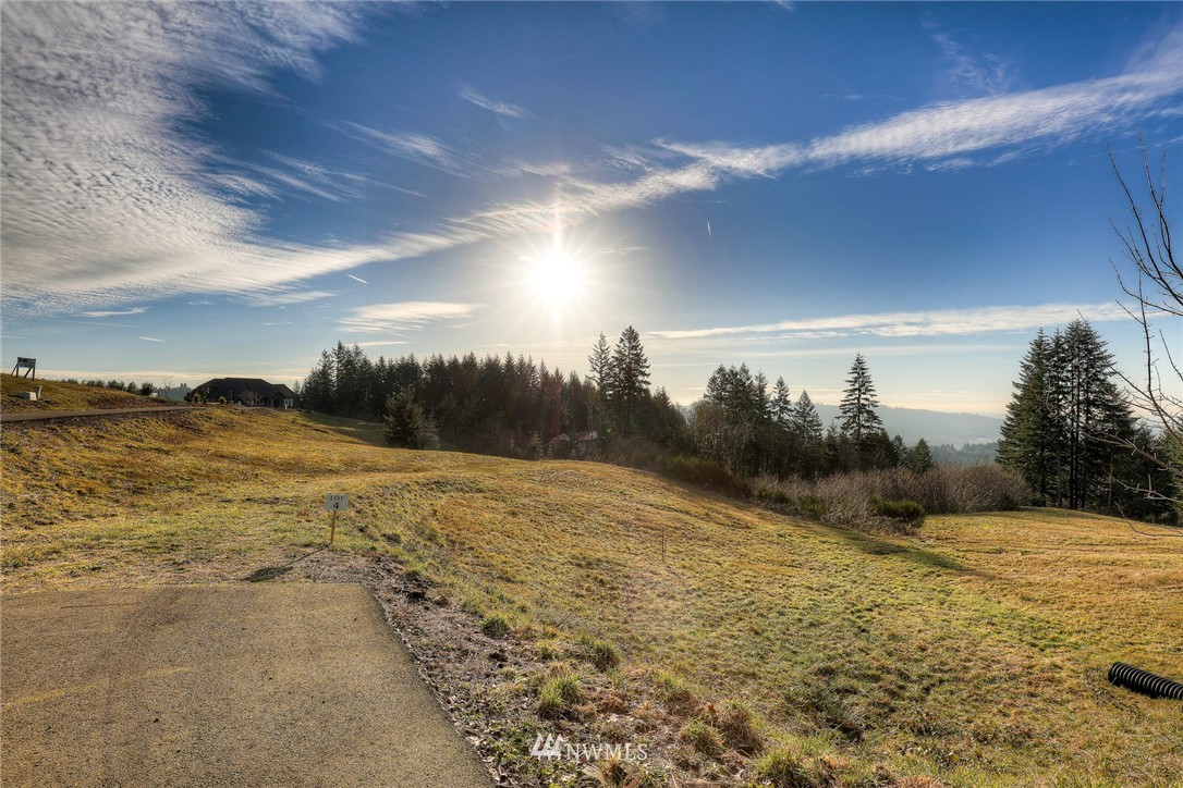124 Summit Butte Road Woodland, WA 98674 - Photo 3 of 7 Gallery Image 3