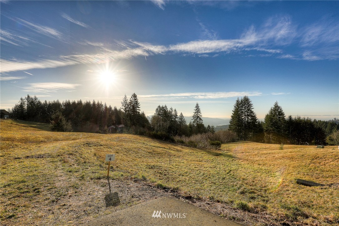 124 Summit Butte Road Woodland, WA 98674 - Photo 4 of 7 Gallery Image 4
