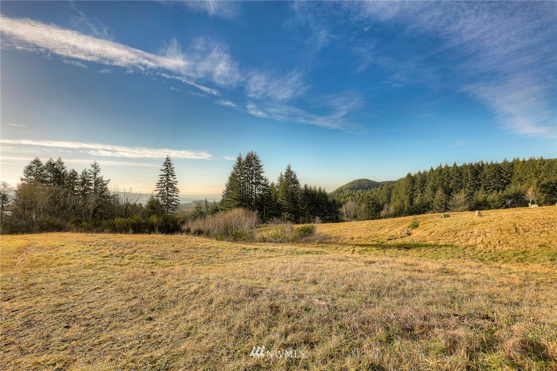 124 Summit Butte Road Woodland, WA 98674 - Photo 5 of 7 Gallery Image 5