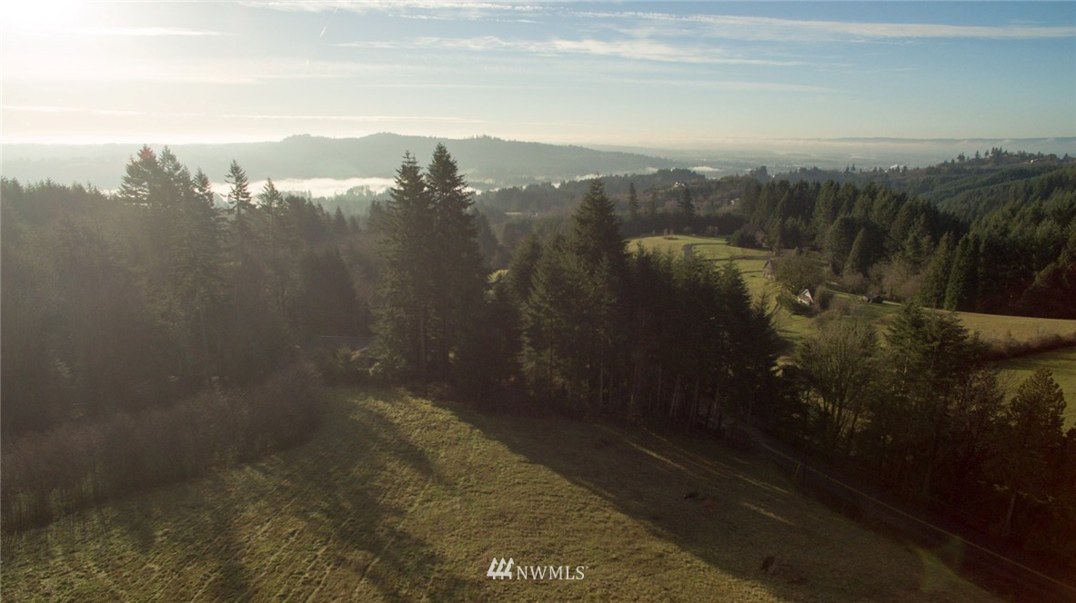 124 Summit Butte Road Woodland, WA 98674 - Photo 7 of 7 Gallery Image 7