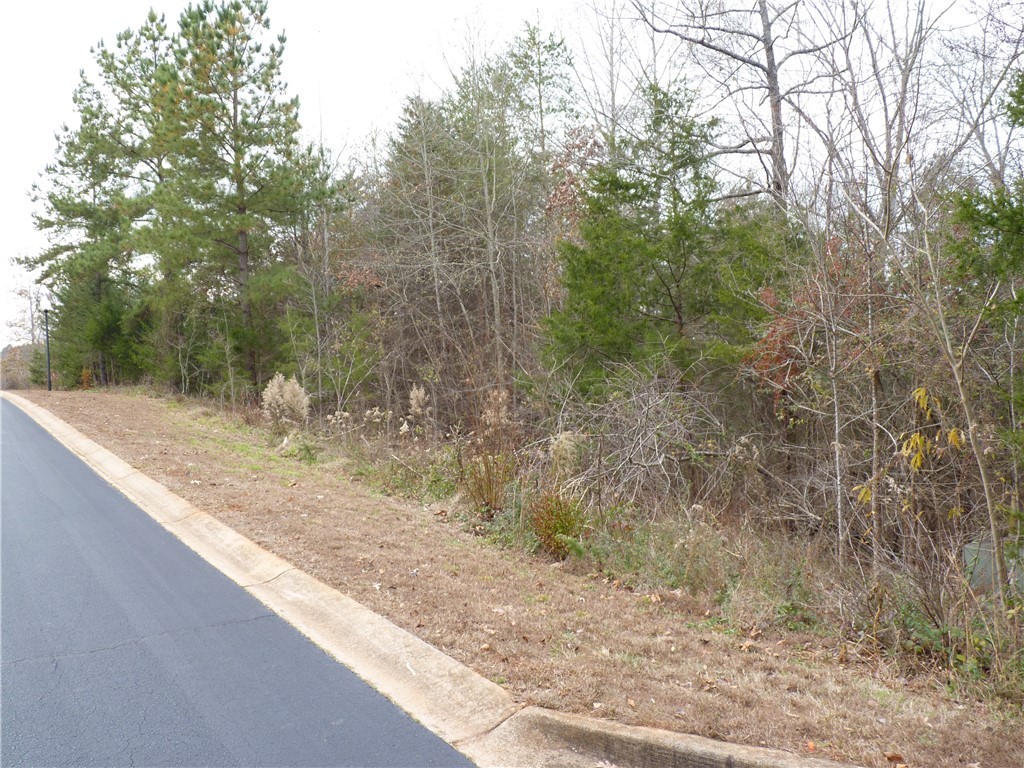 202 Sandy Point Drive Anderson, SC 29625 - Photo 3 of 8 Gallery Image 3