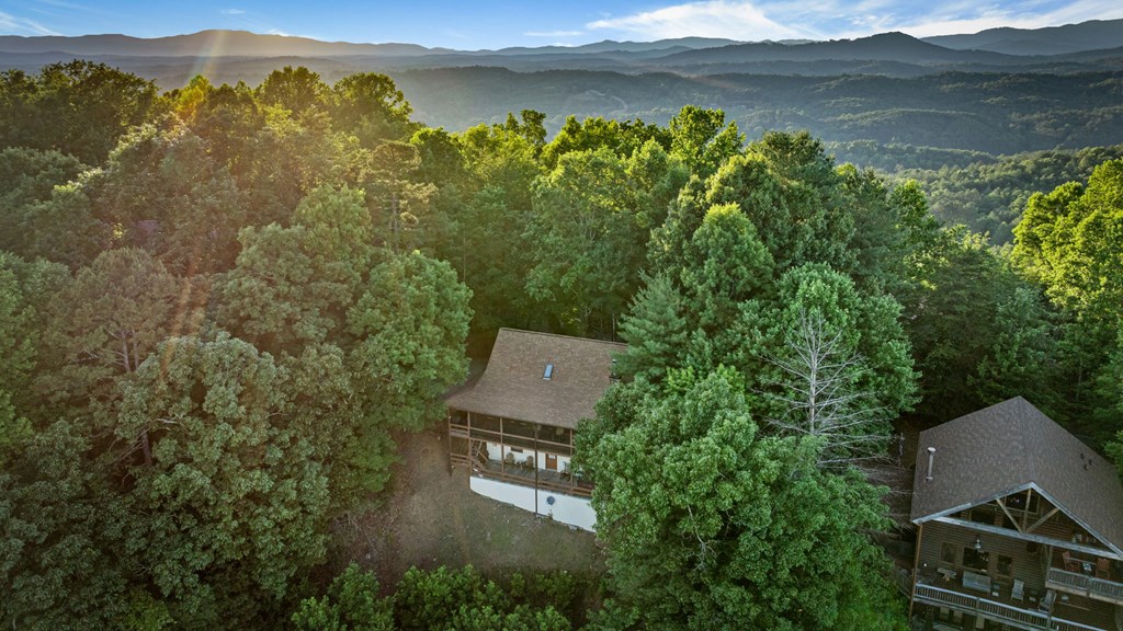 1289 My Mountain Road Morganton, GA 30560 - Photo 52 of 68