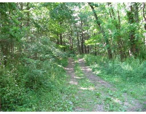 7131 Hashley Road Manchester, MI 48158 - Photo 1 of 10 Photo 1