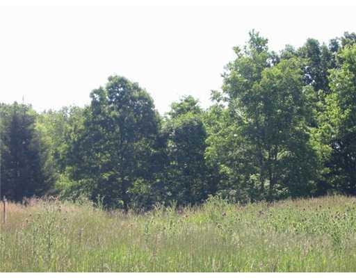 7131 Hashley Road Manchester, MI 48158 - Photo 3 of 10 Photo 3