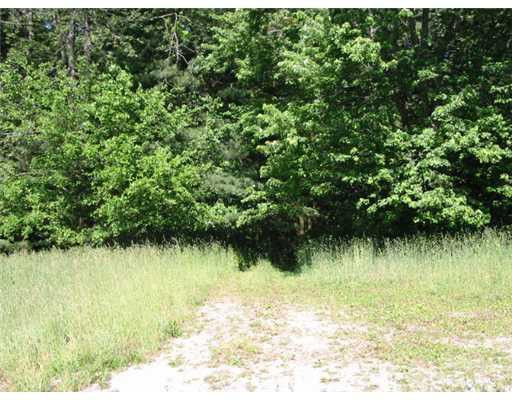 7131 Hashley Road Manchester, MI 48158 - Photo 10 of 10 Photo 10