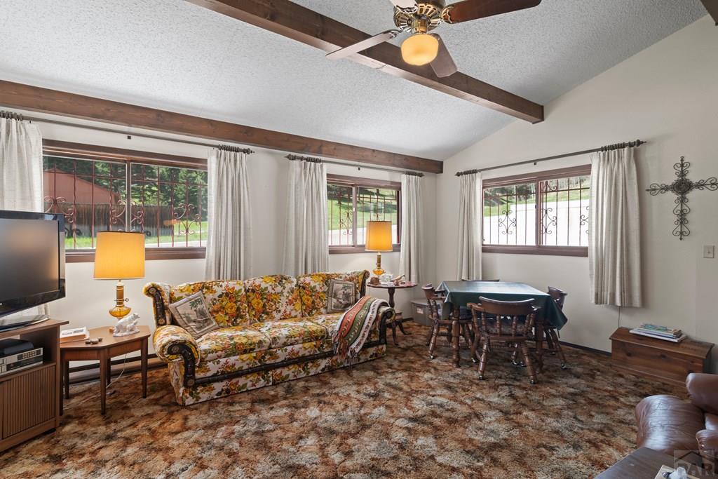 107 County Road 378 Rye, CO 81069 - Photo 12 of 28