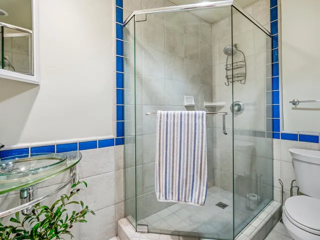 a bathroom with a shower and toilet