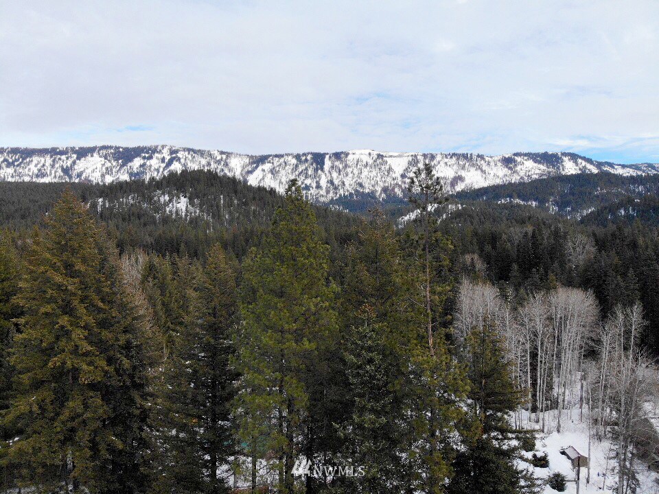 2267 Pine Tree Road Leavenworth, WA 98826 - Photo 20 of 25 Gallery Image 20