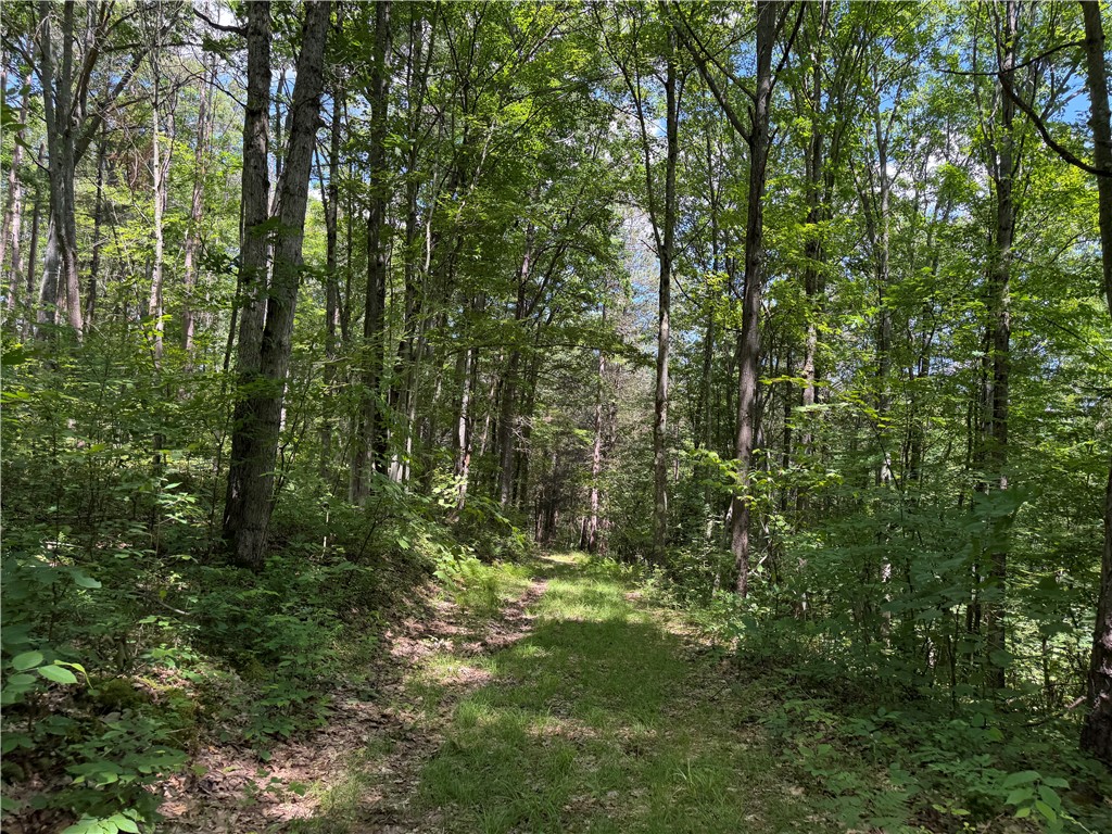 Vl Catatunk Road, Unit R Canisteo, NY 14823 - Photo 36 of 50