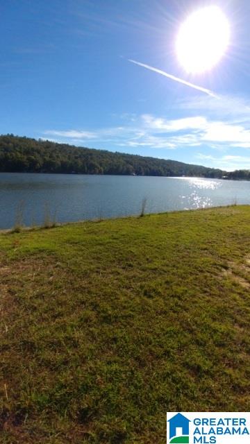 160 Holiday Estates Road, Unit 1 Ashville, AL 35953 - Photo 3 of 11