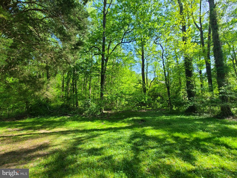 Honeysuckle Trail Lorton, VA 22079 - Photo 1 of 2 a view of a lush green space