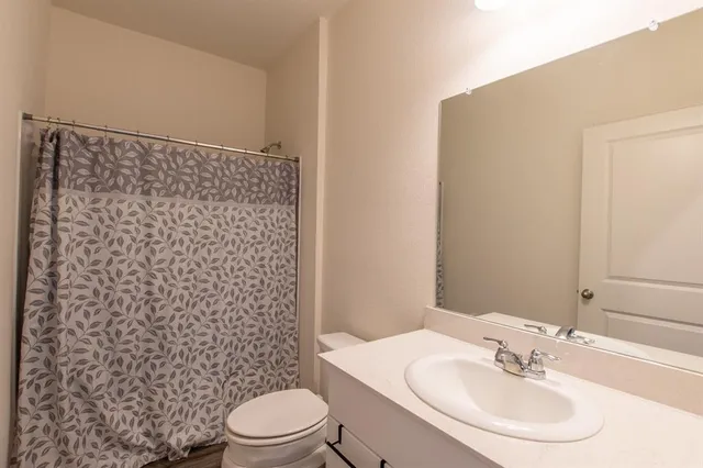a bathroom with a sink a toilet and shower curtain