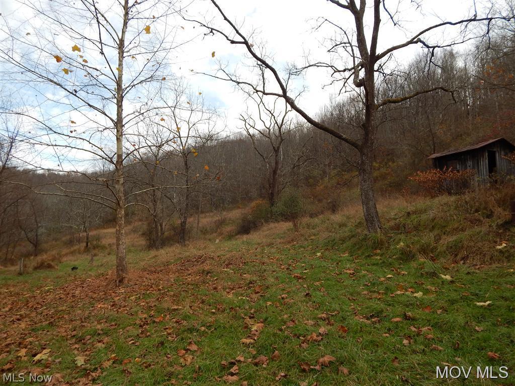 0 C Road Berea, WV 26327 - Photo 15 of 23