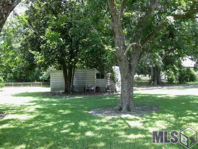 10478 George Lambert Road St. Amant, LA 70774 - Photo 42 of 45 Yard