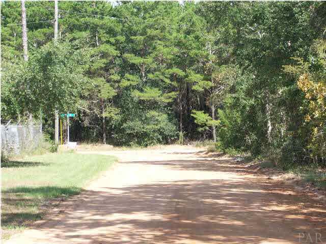 11380 6 Pack Road Milton, FL 32583 - Photo 21 of 22 Looking down country lane :)