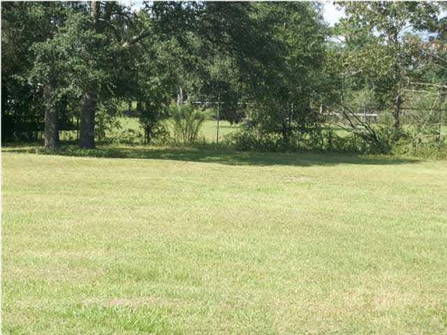 11380 6 Pack Road Milton, FL 32583 - Photo 9 of 22 Another view of back yard.