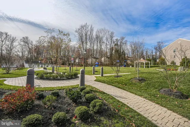 a view of a park with large trees